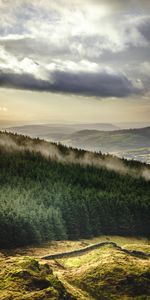 Árboles,Montañas,Nubes,Bosque,Descripción General,Revisión,Naturaleza,Paisaje