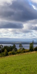 Trees,Clouds,Slope,Dahl,Nature,Field,Distance