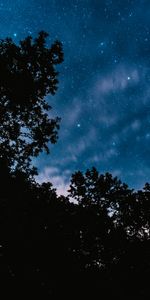 Trees,Clouds,Starry Sky,Nature,Stars,Night,Dark