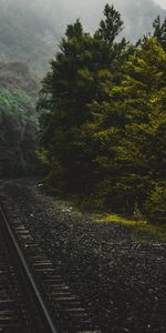 Trees,Connecticut,United States,Nature,Usa,Railway,Forest