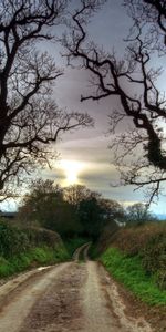 Trees,Country,Mystery,Riddle,Nature,Road,Countryside,Secret