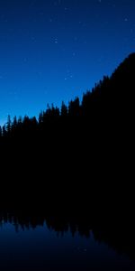 Trees,Dark,Starry Sky,Night Sky