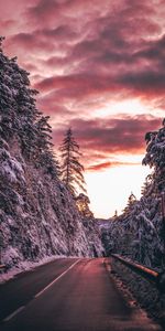 Route,Nature,Arbres,Crépuscule,Neige