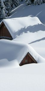 Trees,Elevation,Building,Nature,Snow