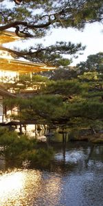 Árboles,Noche,Mansión,Naturaleza,Agua,Japón,Jardín