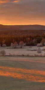 Domaine,Soir,Champ,Nature,Arbres,Automne