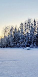 Domaine,Champ,Imeuble,Neige,Nature,Arbres,Bâtiment