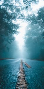 Trees,Fog,Asphalt,Nature,Wet,Road