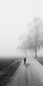 Trees,Fog,Bw,Silhouette,Road,Chb,Loneliness,Minimalism