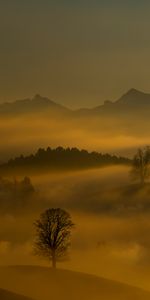 Naturaleza,Montañas,Crepúsculo,Niebla,Oscuridad,Las Colinas,Árboles,Colinas