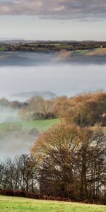 Nature,Brouillard,Les Collines,Collines,Arbres,Paysage