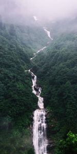 Trees,Fog,Nature,Waterfall