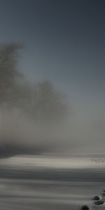 Les Dérives,Traces,Couvrir,Couverture,Mystériosité,Inscrutabilité,Nature,Brouillard,Dérives,Obscurité,Arbres,Nuit,Neige