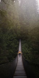 Trees,Forest,Bridge,Hanging,Suspension,Person,Nature,Human,Canada,Vancouver