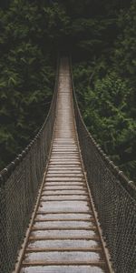 Trees,Forest,Bridge,Suspension Bridge,Greens,Nature