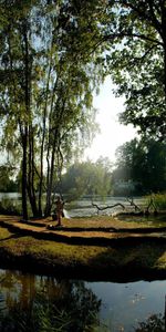 Trees,Fountain,Reflection,Shine,Cool,Coolness,Nature,Light,Park,Rivers,Statue