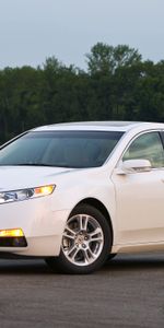 Trees,Grass,Acura,Side View,Style,Akura,2008,Tl,Nature,Cars,Auto