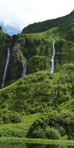 Trees,Grass,Azores,Nature,Waterfall,Portugal