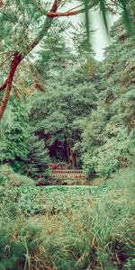 Trees,Grass,Bush,Bridge,Nature,Greens