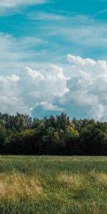 Trees,Grass,Clouds,Nature,Field