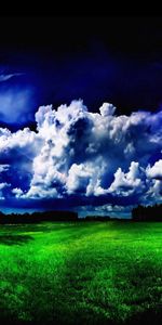 Herbe,Nuages,Pré,Nature,Légumes Verts,Arbres,Verdure,Lune