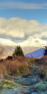 Neige,Herbe,Sommet,Hauts,Mangé,Neigeux,Ate,Nature,Arbres,Montagnes,Gel,Givre