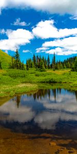 Lac,Nature,Herbe,Arbres,Pré,Paysage