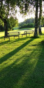 Herbe,Arbres,Paysage