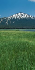 Trees,Grass,Mountain,Vertex,Top,Dormant Volcano,Sleeping Volcano,Nature,Rivers,Meadow