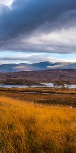 Trees,Grass,Mountains,Lake,Nature