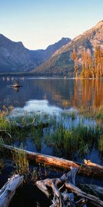 Trees,Grass,Mountains,Lake,Wreckage,Detritus,Nature