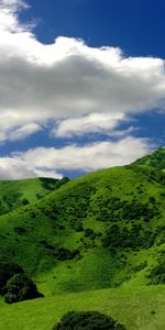 Paisaje,Hierba,Montañas,Nubes,Árboles