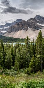 Naturaleza,Árboles,Hierba,Montañas,Bosque