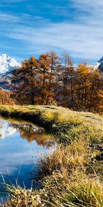 Trees,Grass,Mountains,Puddle,Nature,Landscape