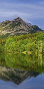 Árboles,Montañas,Naturaleza,Hierba,Reflexión