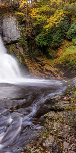 Trees,Grass,Nature,Rivers,Water,Waterfall