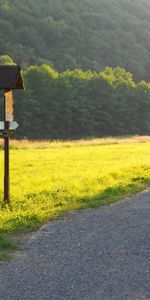 Trees,Grass,Nature,Road,Sign,Meadow