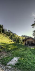 Trees,Grass,Nature,Structure,Hdr