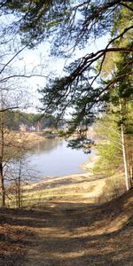 Trees,Grass,Path,Nature,Rivers,Forest