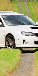 Белый,Тропа,Трава,Деревья,Impreza,Тачки (Cars),Субару (Subaru)