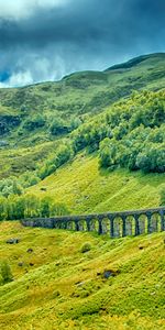 Nature,Pont De Chemin De Fer,Arbres,Herbe,Pont Ferroviaire