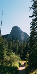 Naturaleza,Hierba,Roca,Camino,Acantilado,Árboles