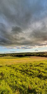 Trees,Grass,Sky,Bush,Rays,Nature,Beams,Field