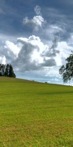 Trees,Grass,Sky,Clouds,Air,Nature,Summer