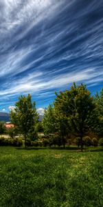 Trees,Grass,Sky,Clouds,Lines,Nature