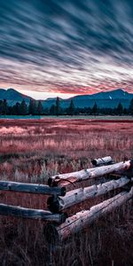 Trees,Grass,Sky,Mountains,Fence,Evening,Nature