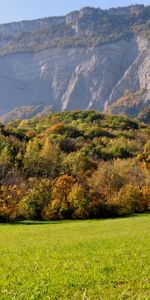 Trees,Grass,Sky,Mountains,Rocks,Nature