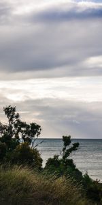 Trees,Grass,Sky,Rivers,Horizon,Nature