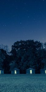 Naturaleza,Hierba,Bosque,Casas,Árboles,Noche,Casas Pequeñas