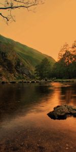 Herbe,Noyaux,Soir,Lac,Arbres,Crépuscule,Nature,Étang